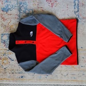 The North Face Colorblock Fleece